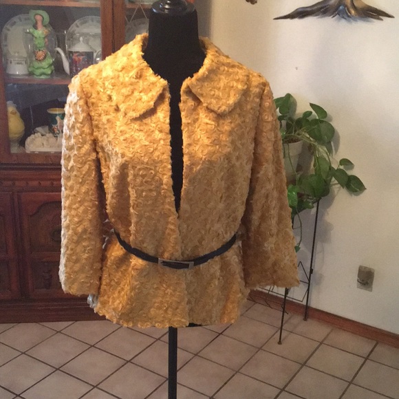 Insight - Picture 5 of 5